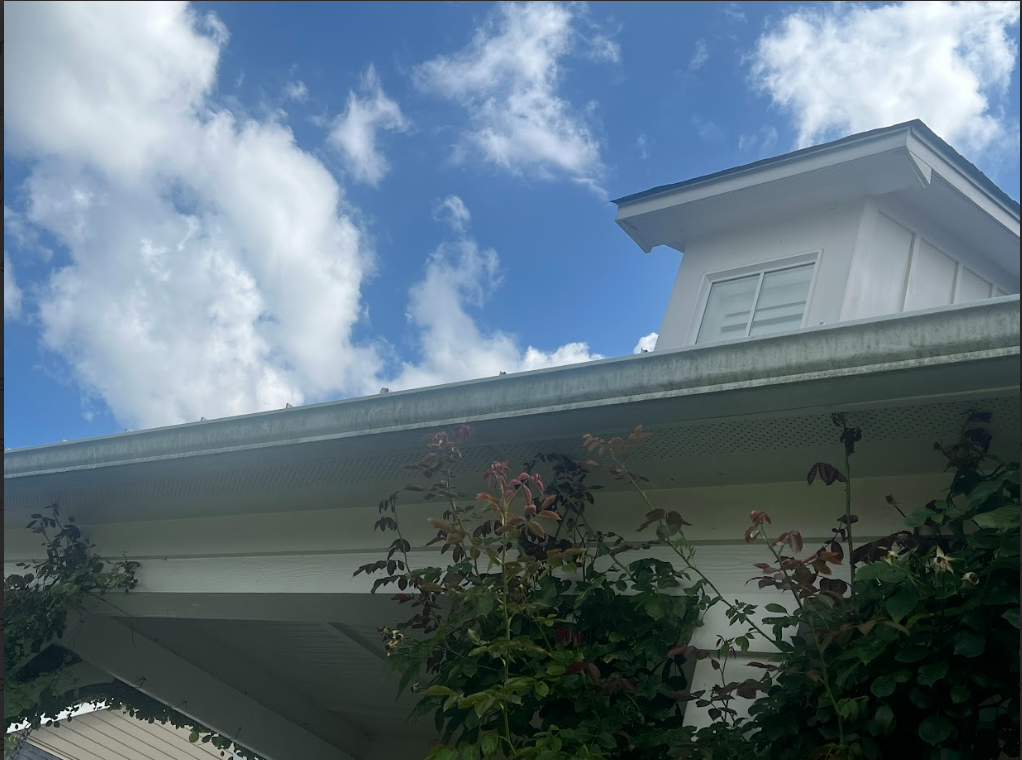 Clean, well-maintained gutters before professional cleaning service