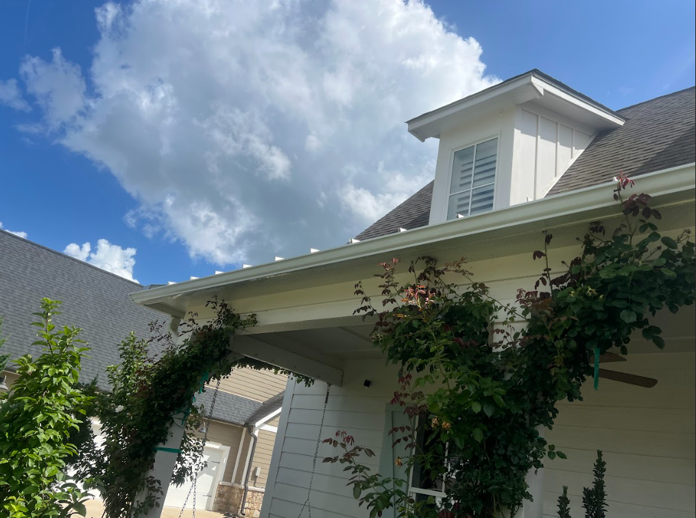 Gutters with vegetation growth and debris buildup after professional cleaning